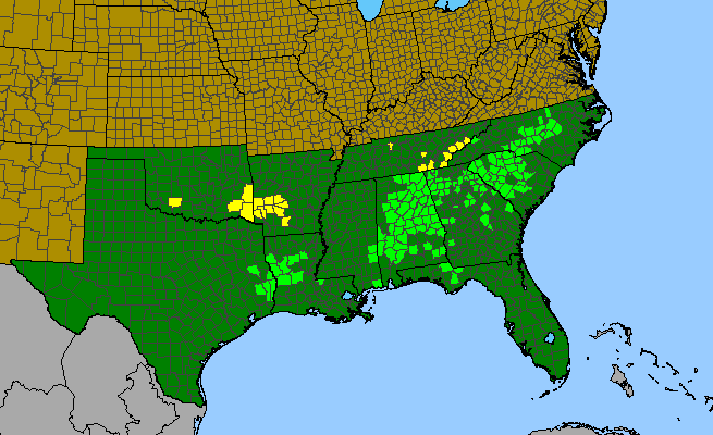 The native range of Acer leucoderme